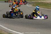 DSC_0002 (3)